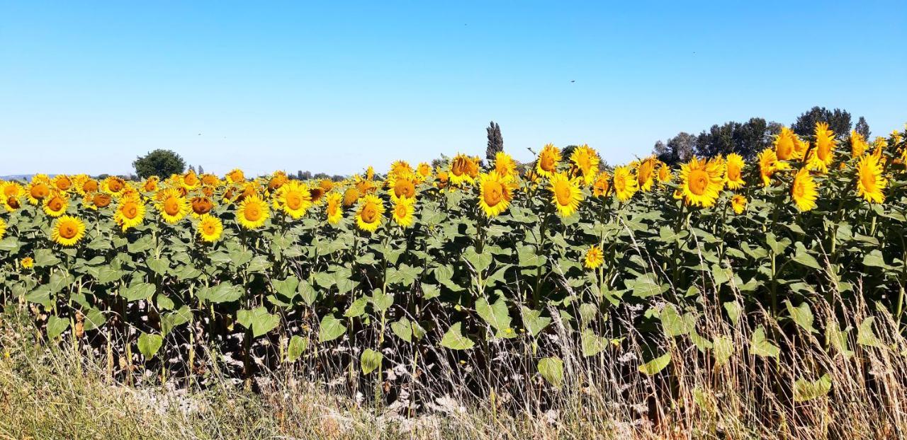 L'Instant Provence Villa วัลเรอัส ภายนอก รูปภาพ